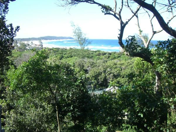 <p><strong>PONTA DE OURO (cf.article &quot;De Maputo a Ponta de ouro&quot;)</strong></p>
<p>EN VRAC de gauche a droite : le poete de la chiapa, plages, passada, Mr Bino et ses fans, un boer er ses saucisses, seance du jour de l'an, Mapotu vu de Catembe, jacarandas, Rafael</p>