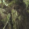 Le symbolisme de la forêt dans les contes