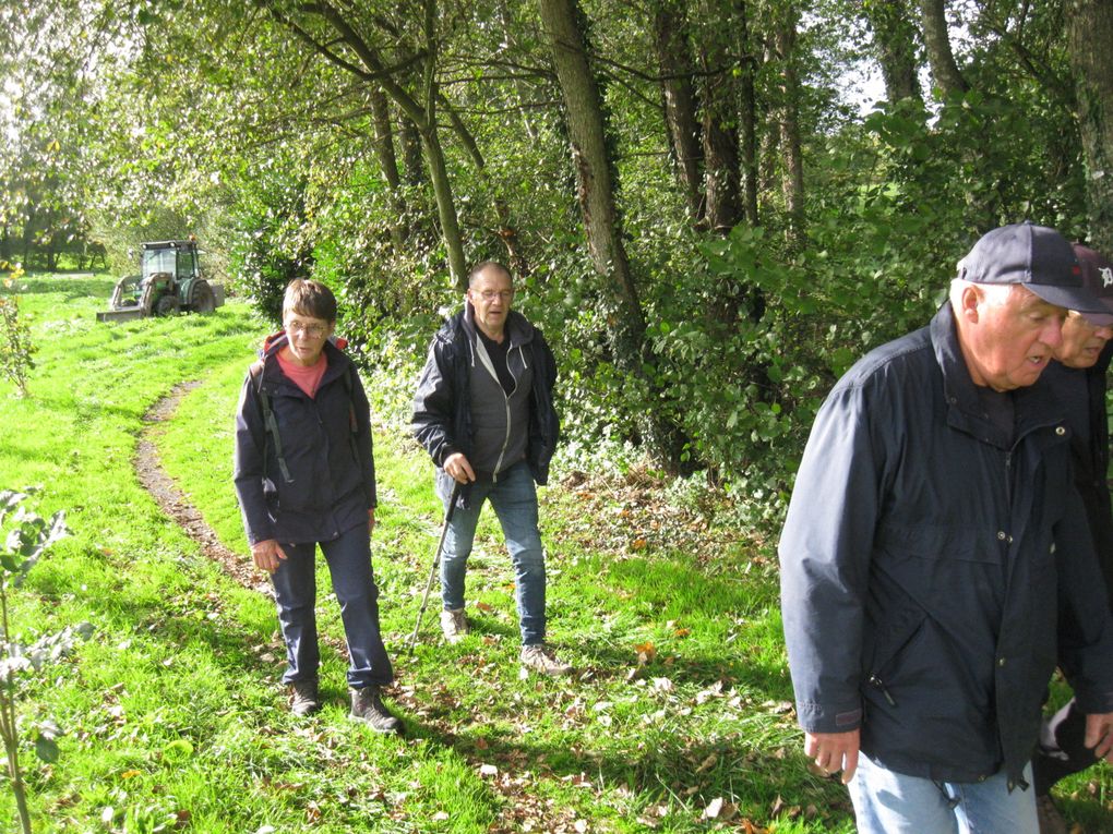 Promenons nous dans les bois...