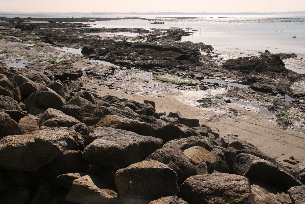 Les parcs à moules de bouchot de la Pointe du Bil