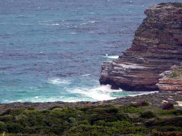 Some pics of Capetown and the the cape of good hope
