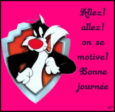 Allez Allez On Se Motive Bonne Journee Chat Sylvestre Gif Anime Gratuit Le Monde Des Gifs