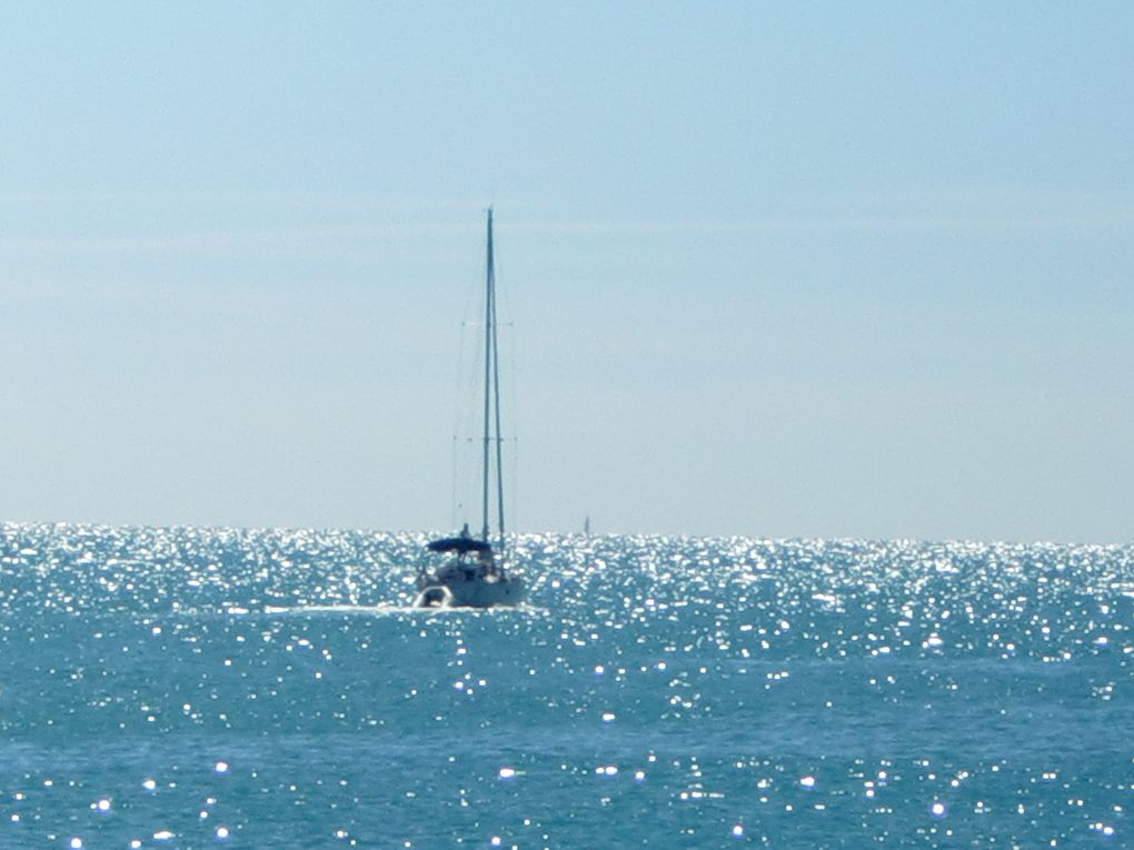 Une journée en Camargue...