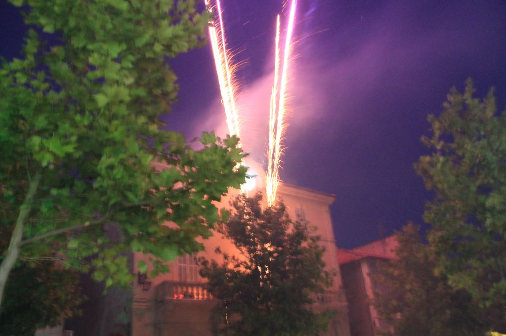 Photo de la soirée son et lumière avec jets d'eau et feux d'artifices