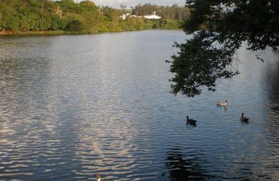 La "Casa do Lago" : un petit "Cinema Paradiso"