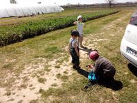 Visite de l'exploitation...sous le soleil !!!