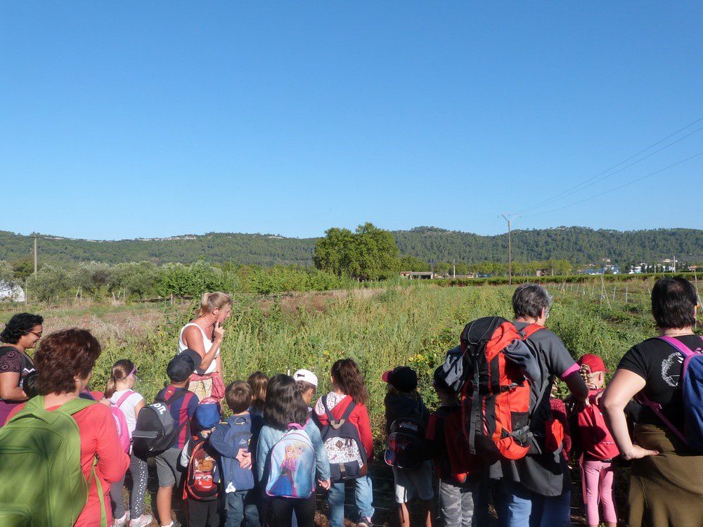 Classe de Maternelle en visite à la Mounette