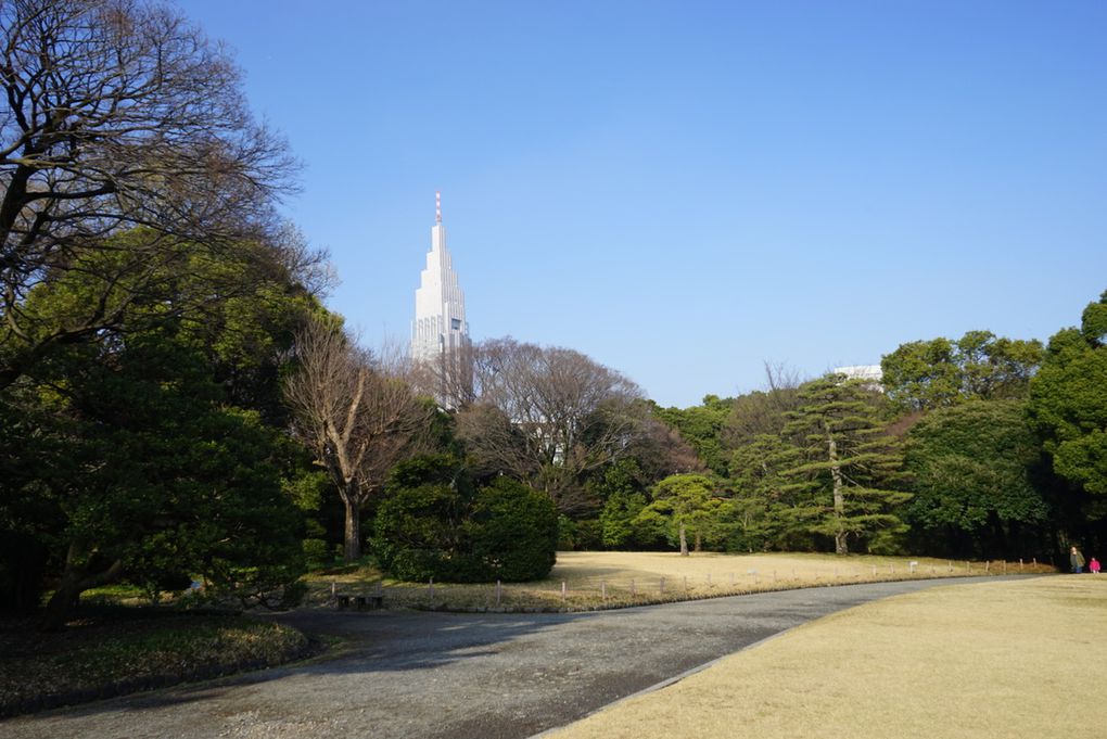 Tokyo - Deuxième jour