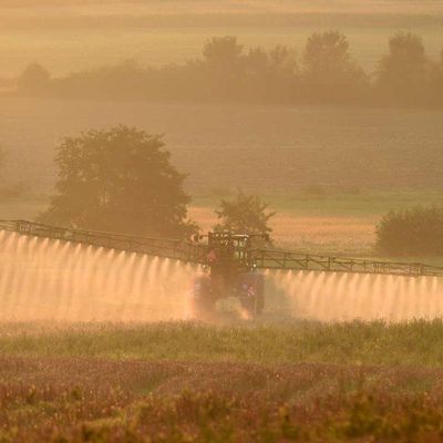 Roundup : Bayer va payer 10 milliards de dollars aux plaignants américains 