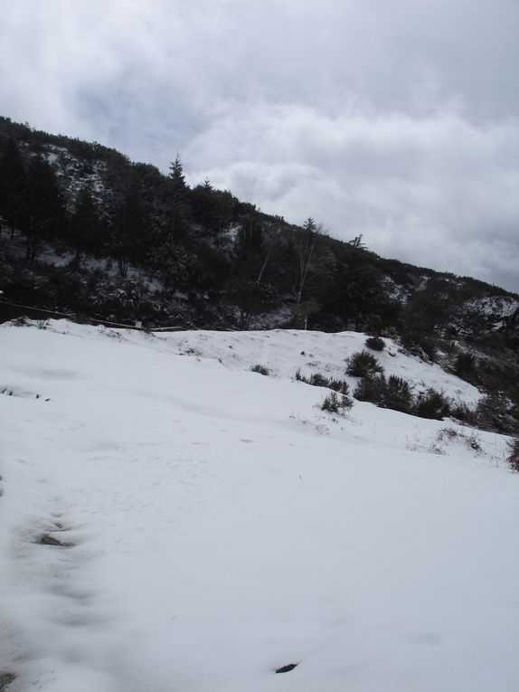 Neige à Madère en Mars 2011 - Episode rare sur cette île.