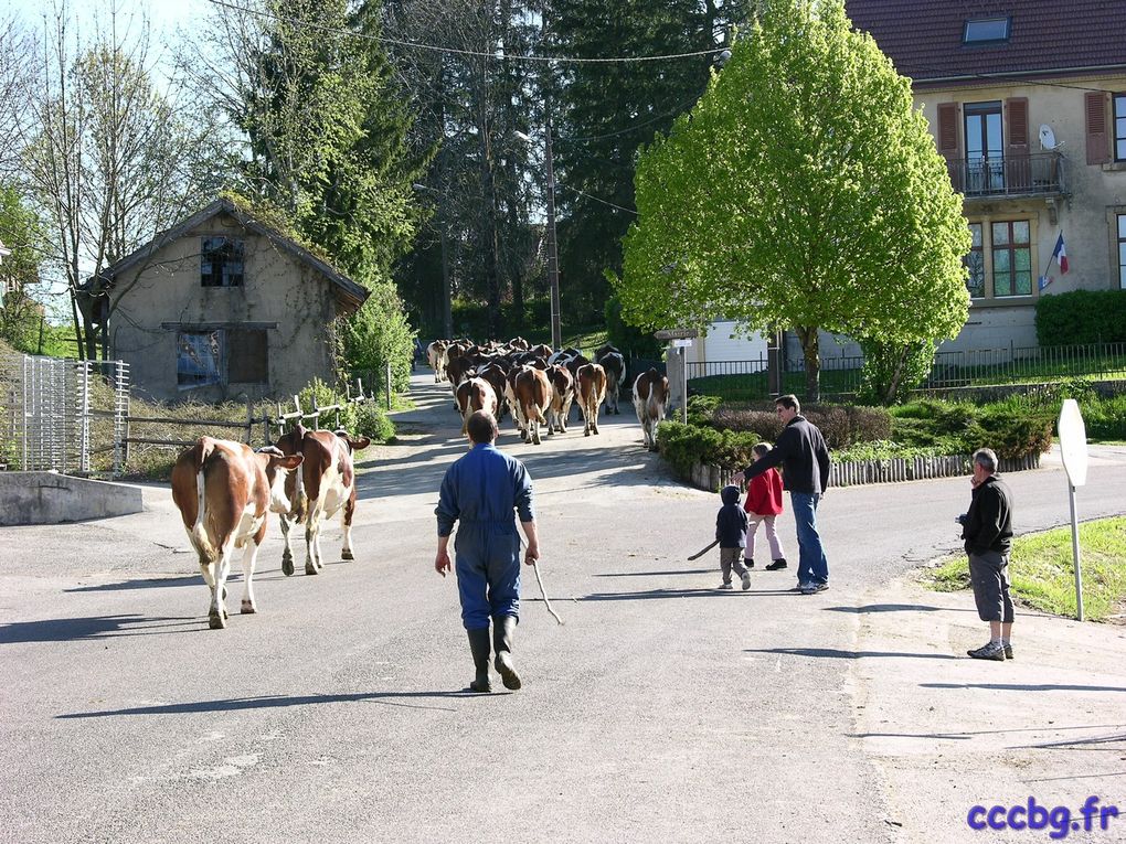 Aire de camping-car de Saint-Point-lac, Camping-car-club-Beauce-Gâtinais