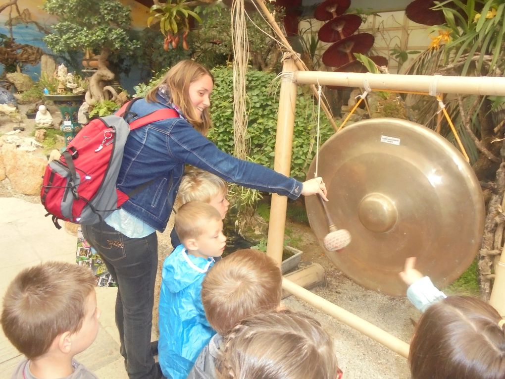 Sortie scolaire à Tropical Parc