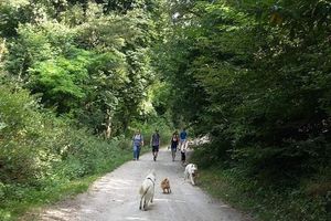 3ème Randonnée Canine le 31/07/2016 à Chailles commune du Loir et Cher