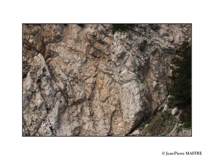 Quelle a été la réaction de nos ancêtres de l’antiquité face à cette profusion de formes humaines dans des rochers qui n’ont probablement pas changés depuis.