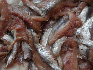 Anchois au sel