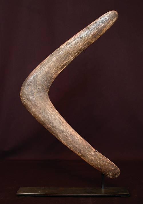 L'évolution Throwing Sticks Boomerangs