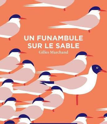 Un funambule sur le sable / Gilles Marchand