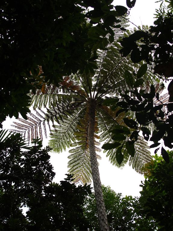 Album - Nouvelle-Caledonie