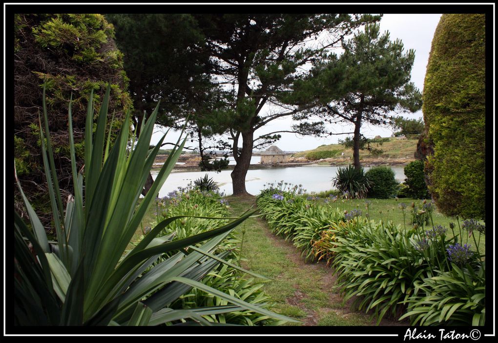 Album - île-de-Bréhat