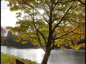 Couleurs d'automne sur les rives de la Penfeld...