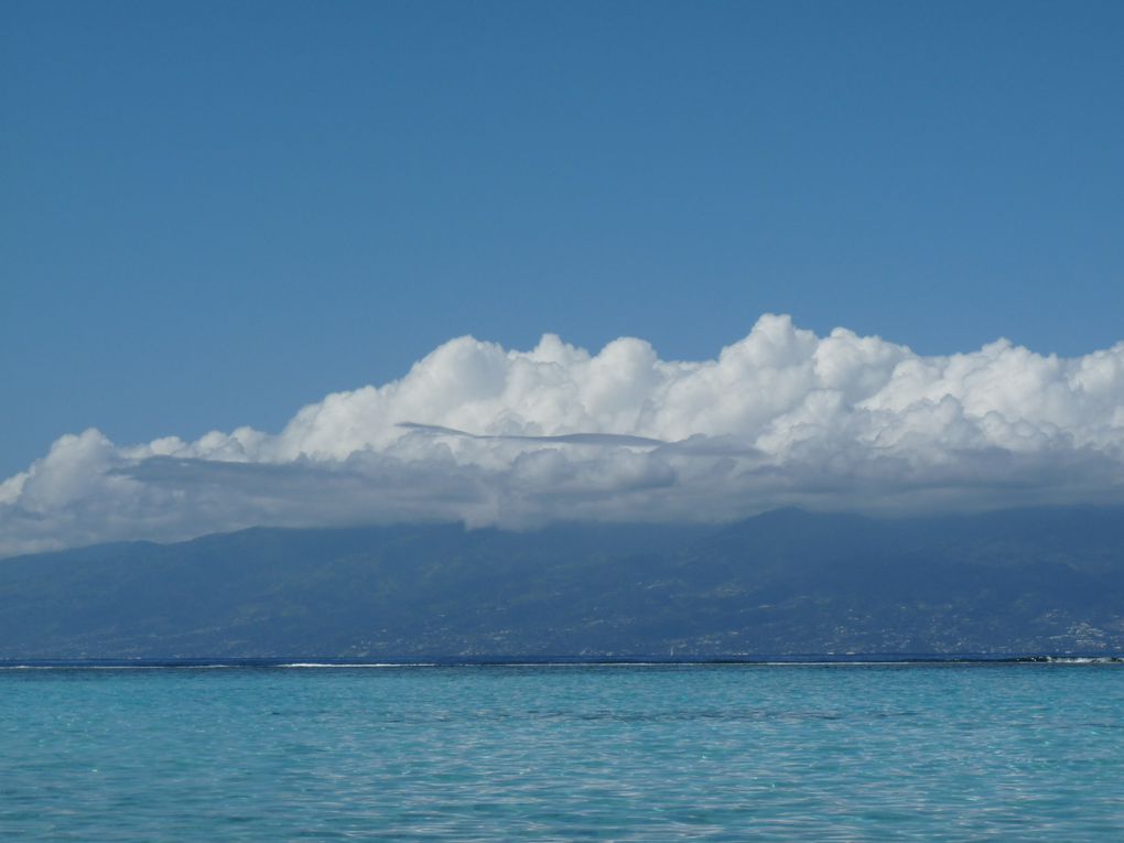 Mai 2012, vacances à Mooréa, avec Béa et Sam