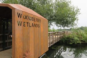 Woodberry Wetlands, la nature au Nord Est de Londres