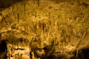 Visite des grottes et retour au Bled