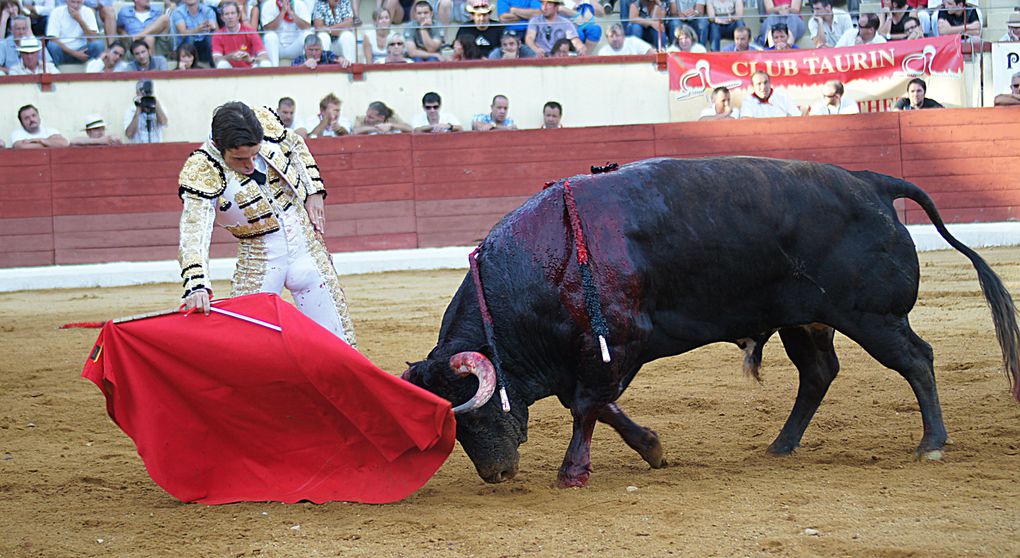 Album - 2012 / 07 - Orthez--Corrida--de-Veiga-Texeira