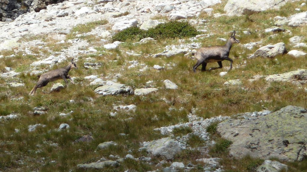 le tour des ecrins par le GR54 et les lacs