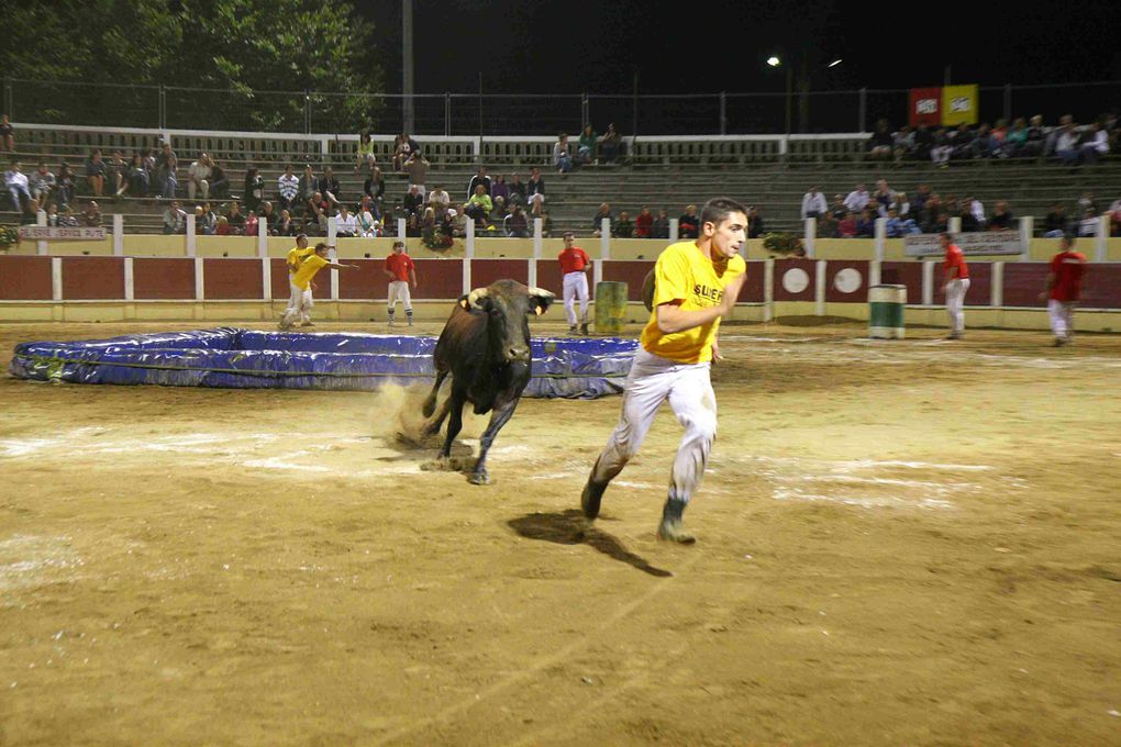 Arènes Parentis 13-08-2010
Croque-vache contre les Pompiers!!