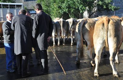 La foire aux bestiaux (8)