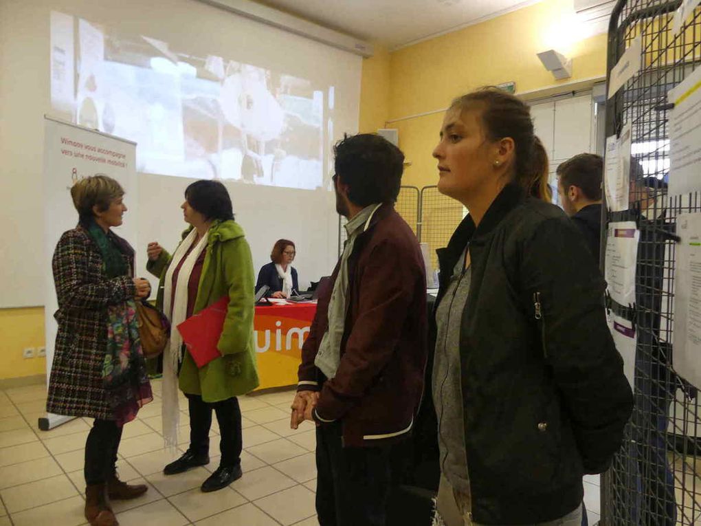 Déambulation pour observer dans un premier temps