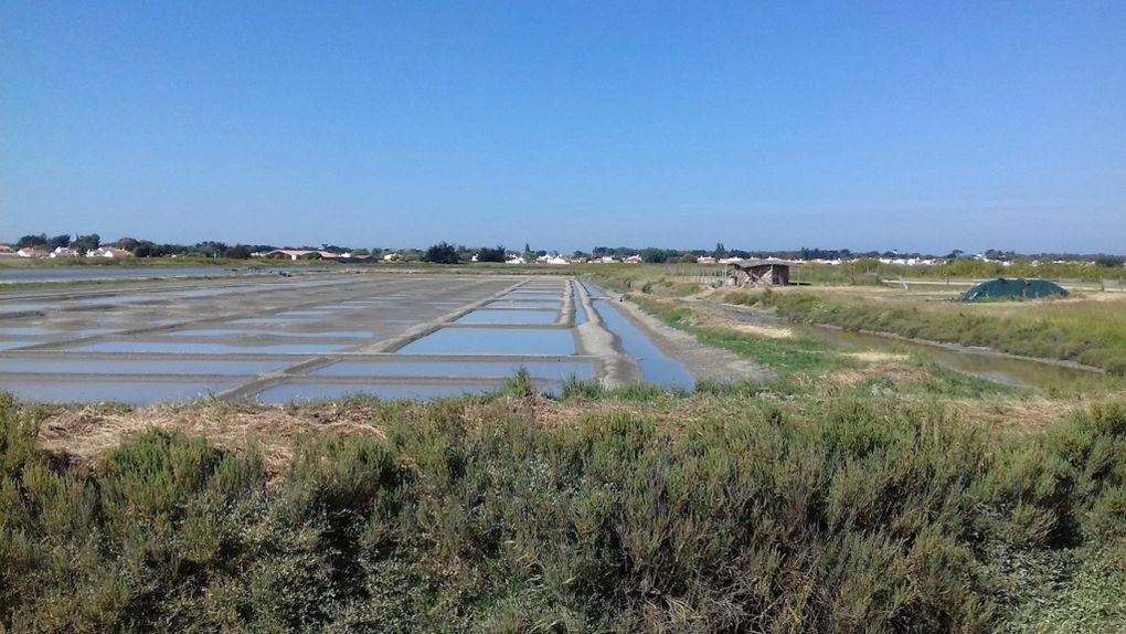 &quot;10 Km&quot; : sortie de Noirmoutier