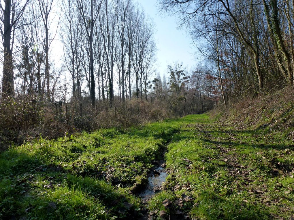 Album - bords-de-Sarthe