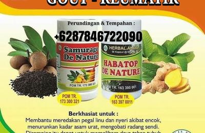 Jenama Ubat Dan Sapu Mujarab Tuk Rawatan Gout Kaki Paling Berkesan Di Faramsi Malaysia Silikon Id Indonesia