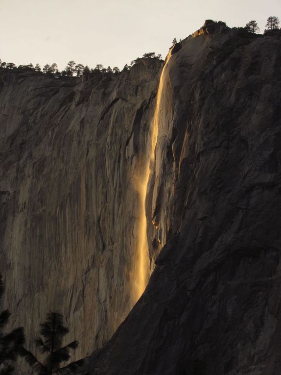 Yosemite National Parc