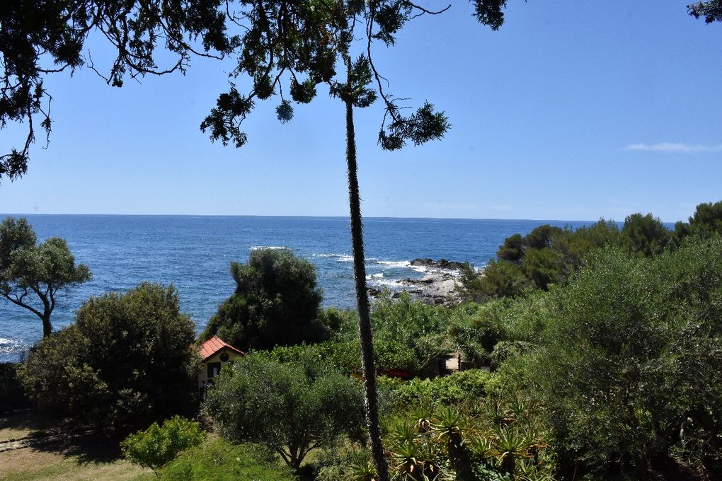 LE REVE LIGURE DES HANBURY (2)