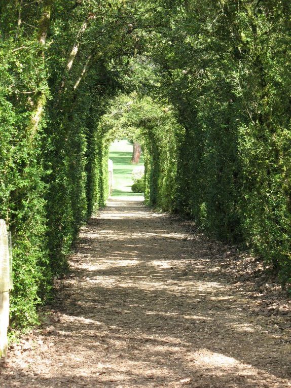 Plus d'infos (Wikipedia) : 

http://fr.wikipedia.org/wiki/Jardins_de_Marqueyssac