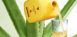 POURQUOI CONSOMMER LA PULPE D'ALOE VERA DE FOREVER LIVING PRODUCTS REF. 15