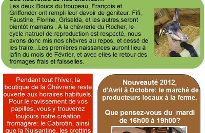 La Newsletter de Janvier