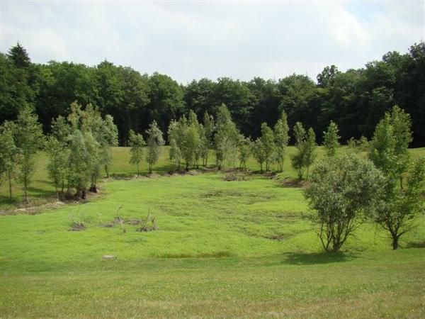 Album - Le Bois des Hâtes à LARCAY - Touraine - FRANCE