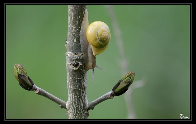 Pluie, pluie, pluie, le retour......