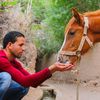 Tarek et ses photos d'animaux