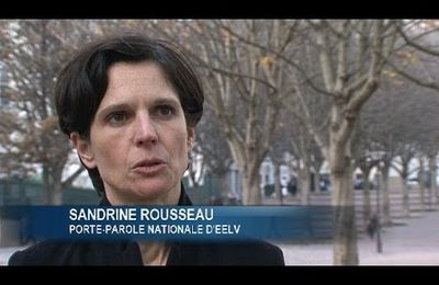 Euthanasie : une élue EELV, Sandrine Rousseau, relance le débat après le suicide de sa mère