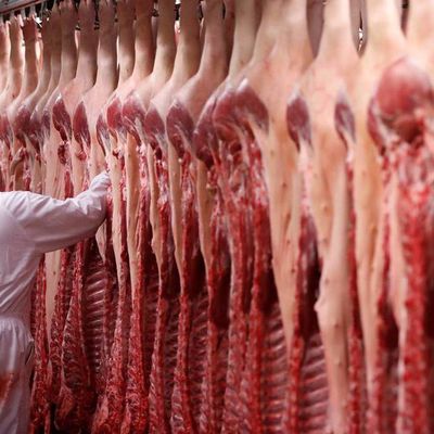 Viande avariée polonaise : au moins 150 kg ont été vendus aux consommateurs en France