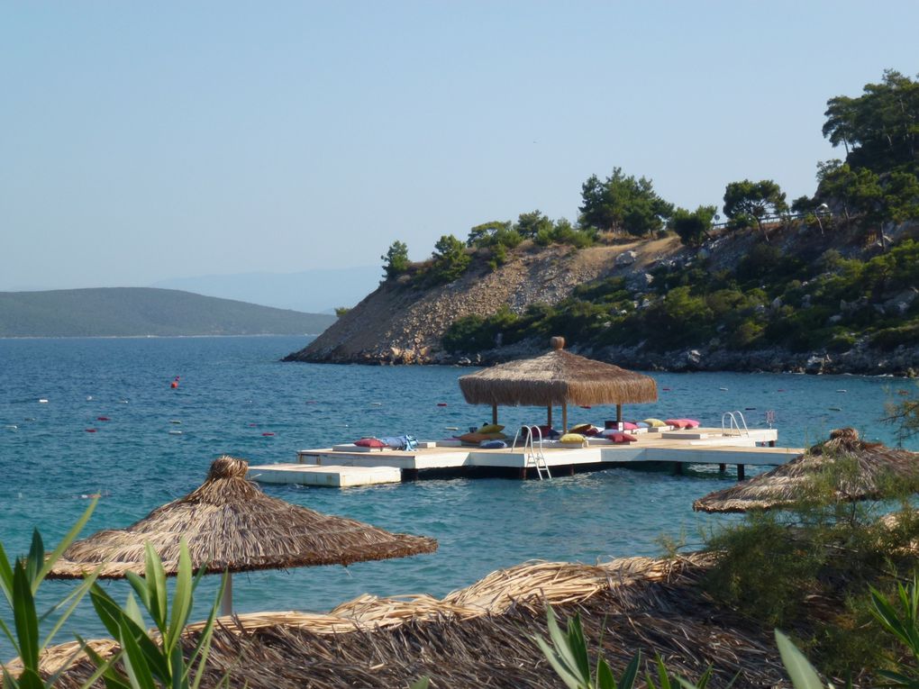 Album - bodrum