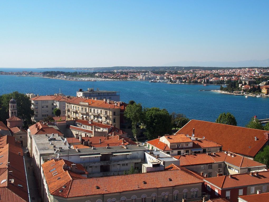 La Ville vue du haut du campanile ...