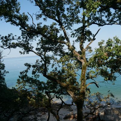 DE LA PLAGE DES SABLEAUX A LA PLAGE DE L'ANSE ROUGE - NOIRMOUTIER