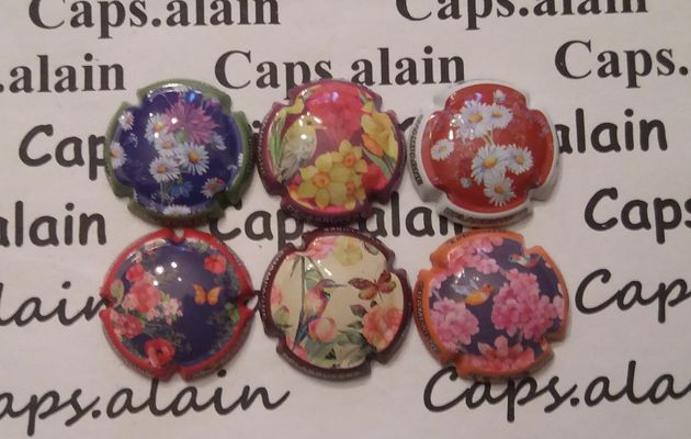 6 BELLES CAPSULES CHAMPAGNE DELABRUYERE BENOIT FLEURS ET OISEAUX NEWS 6€