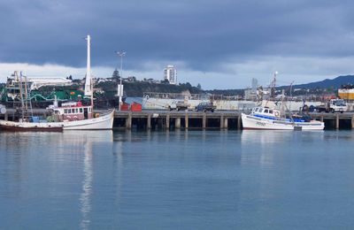 Nouvelle Zélande. Auckland : le port, la mer, les bateaux et Imagine.